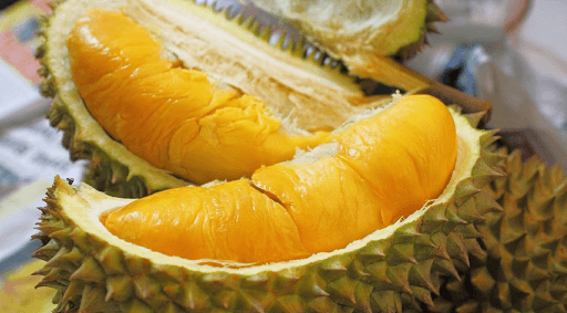 Durian - Malaysian Fruit