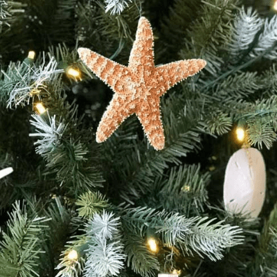 Easy Beach Christmas Ornaments