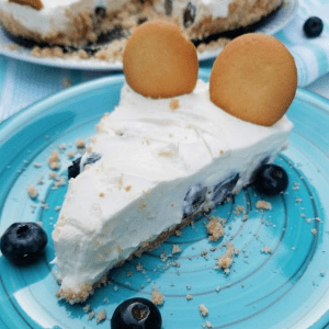Lemon Blueberry No-Bake Cheesecake Recipes