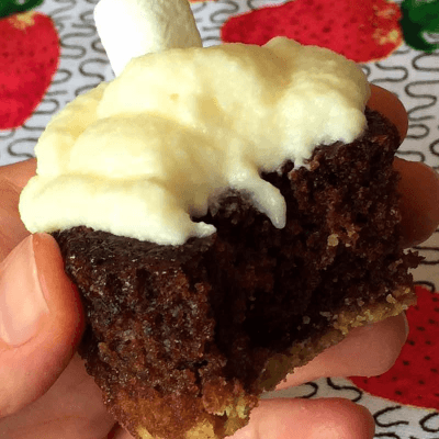 Smores Chocolate Cupcakes Recipes