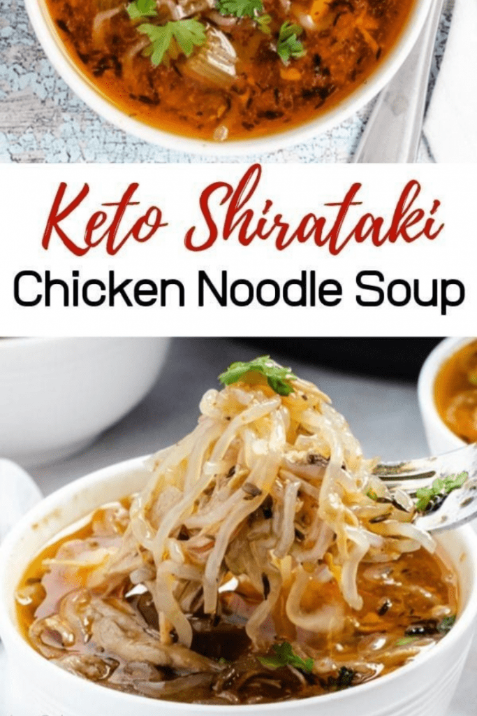 Shirataki Chicken Noodle Soup
